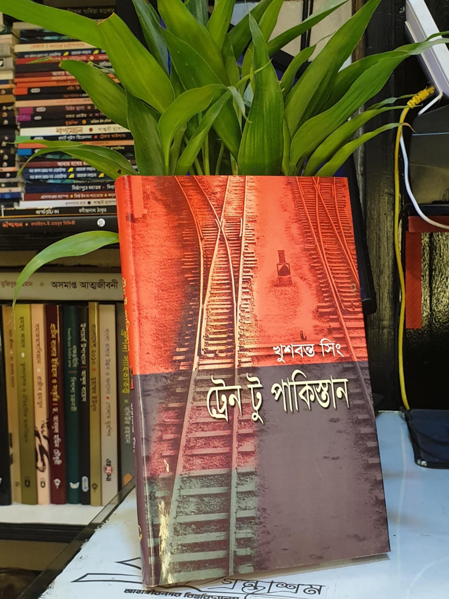 ট্রেন টু পাকিস্তান - খুশবন্ত সিং