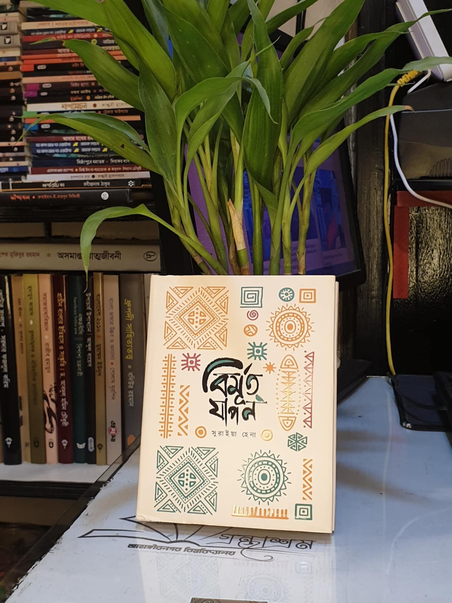 বিমূর্ত যাপন - সুরাইয়া হেনা