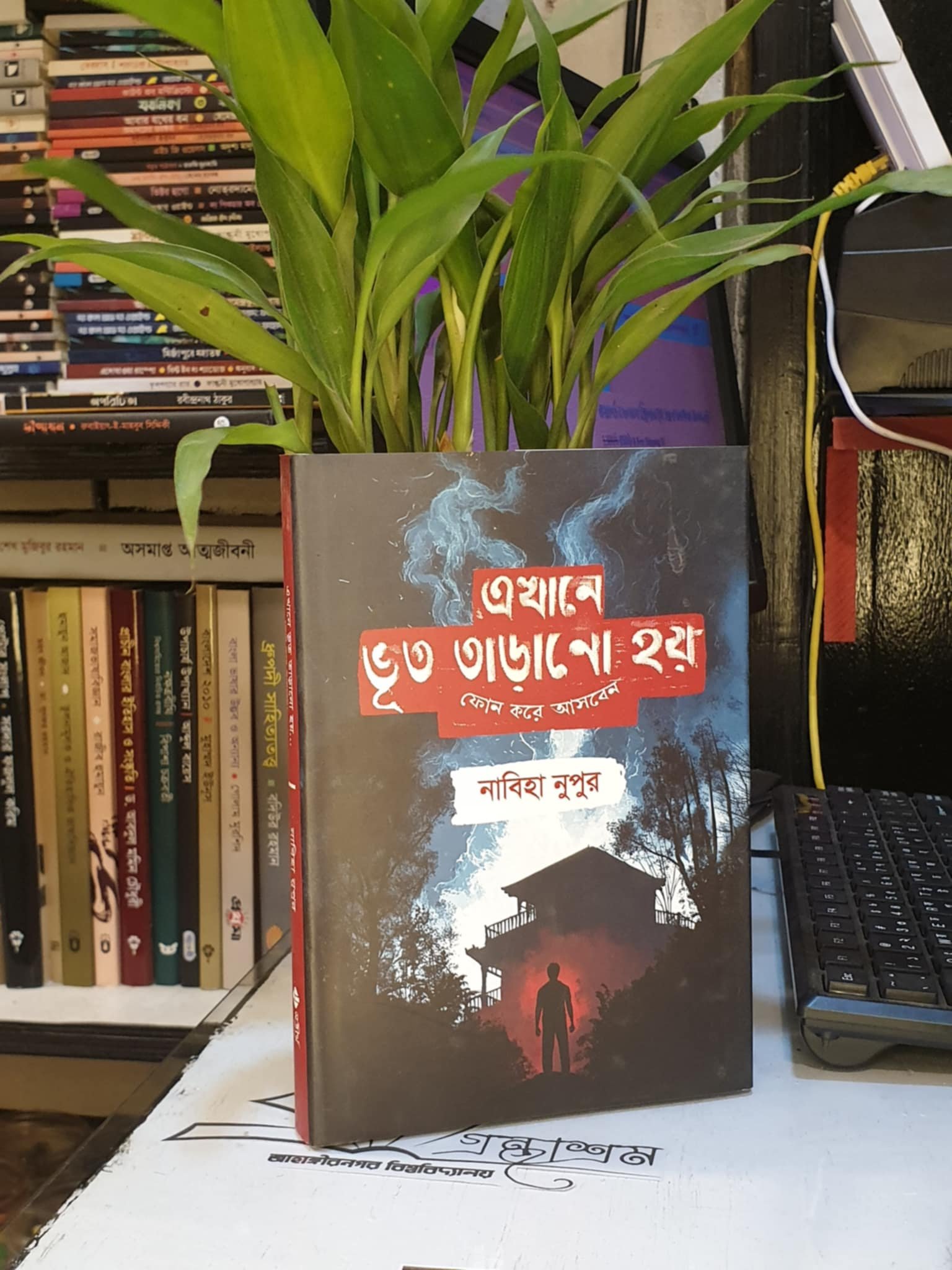 এখানে ভূত তাড়ানো হয় ফোন করে আসবেন - নাবিহা নুপুর