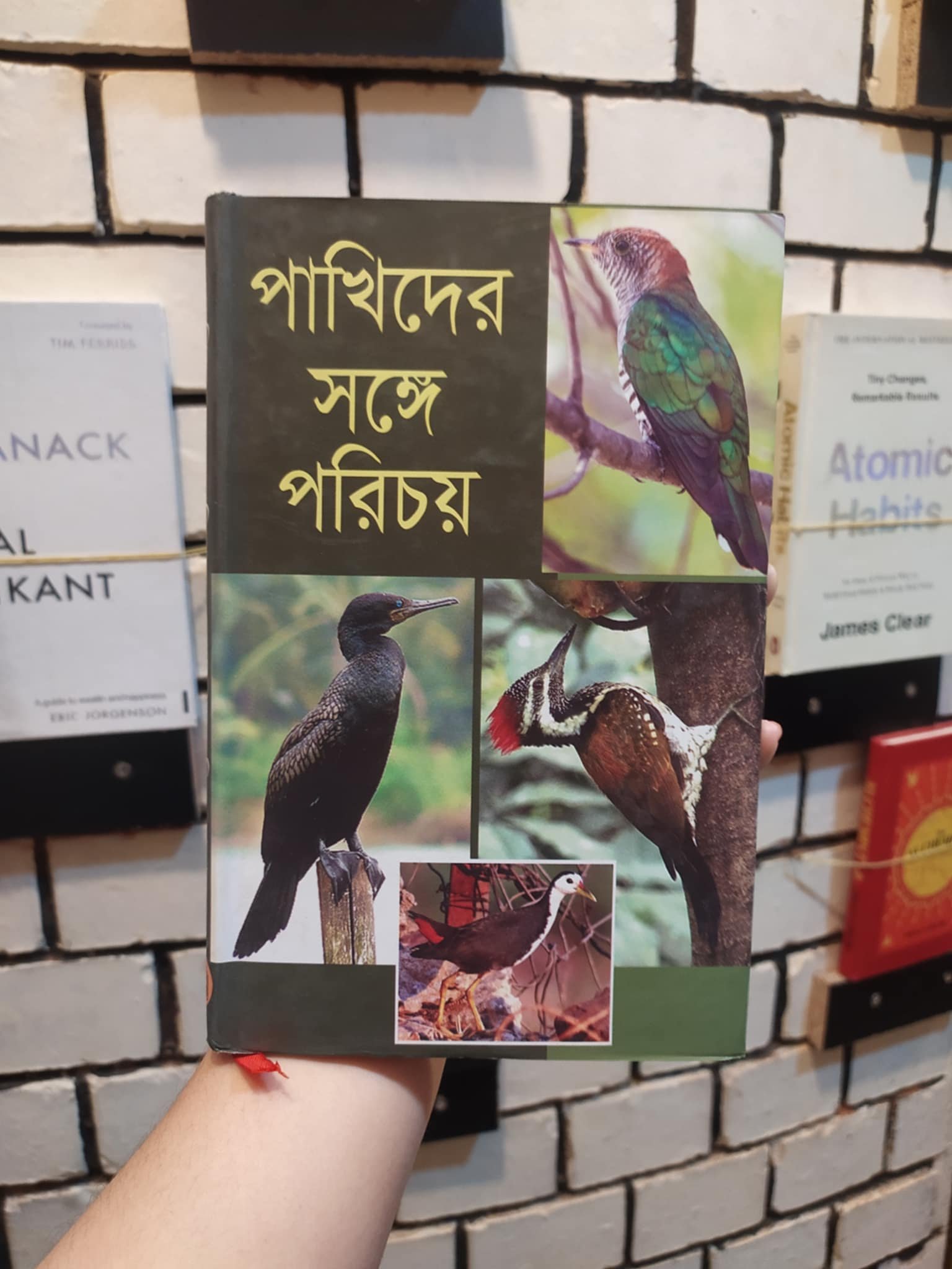 পাখিদের সঙ্গে পরিচয় বইয়ের প্রচ্ছদ