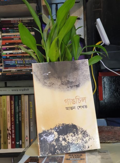 গাঙচিল বইয়ের কভার - আন্তন শেখভ