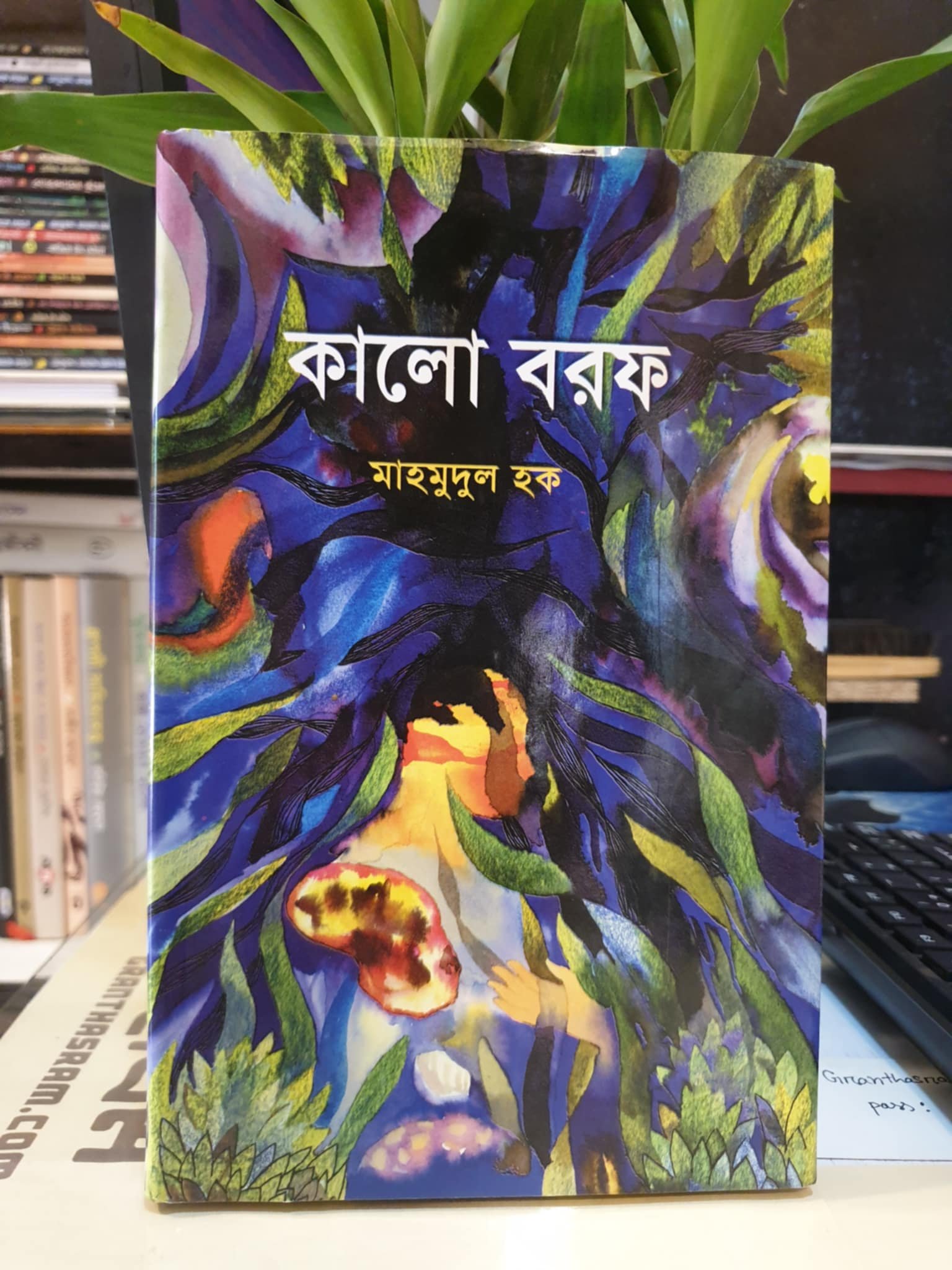 কালো বরফ - মাহমুদুল হক