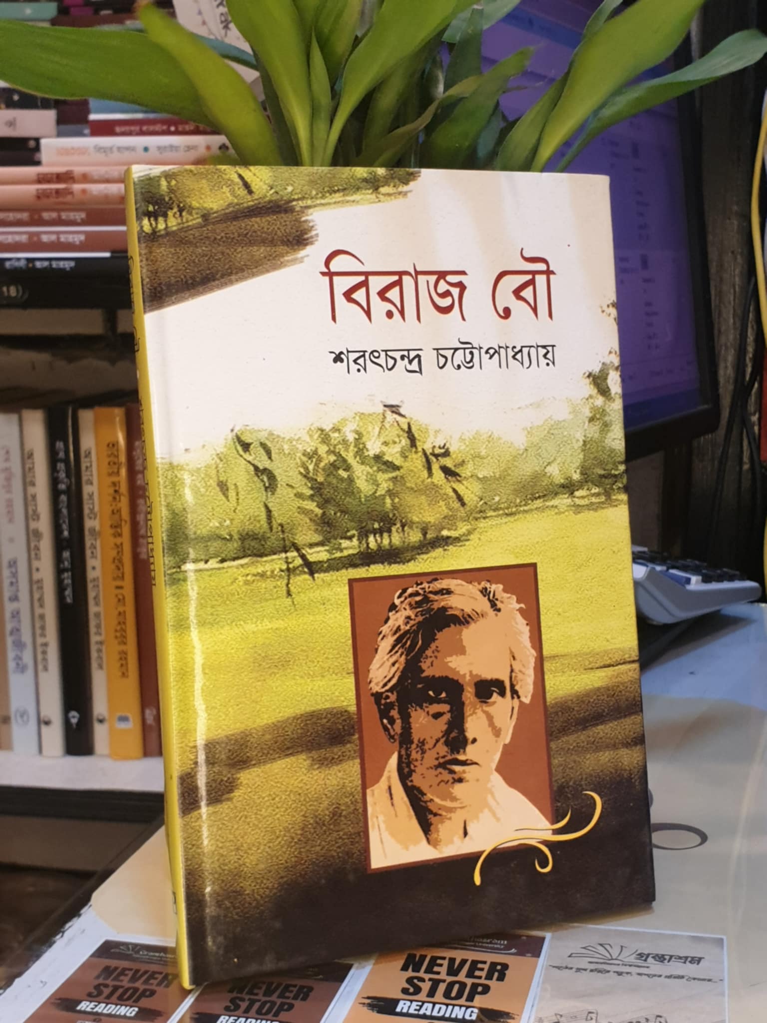 বিরাজ বৌ - শরৎচন্দ্র চট্টোপাধ্যায়