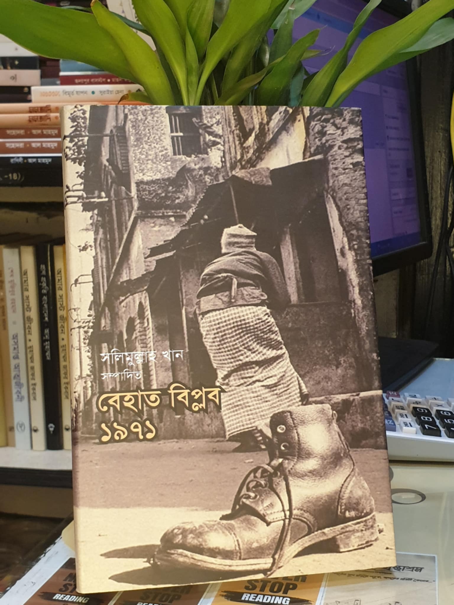 বেহাত বিপ্লব ১৯৭১ বইয়ের প্রচ্ছদ