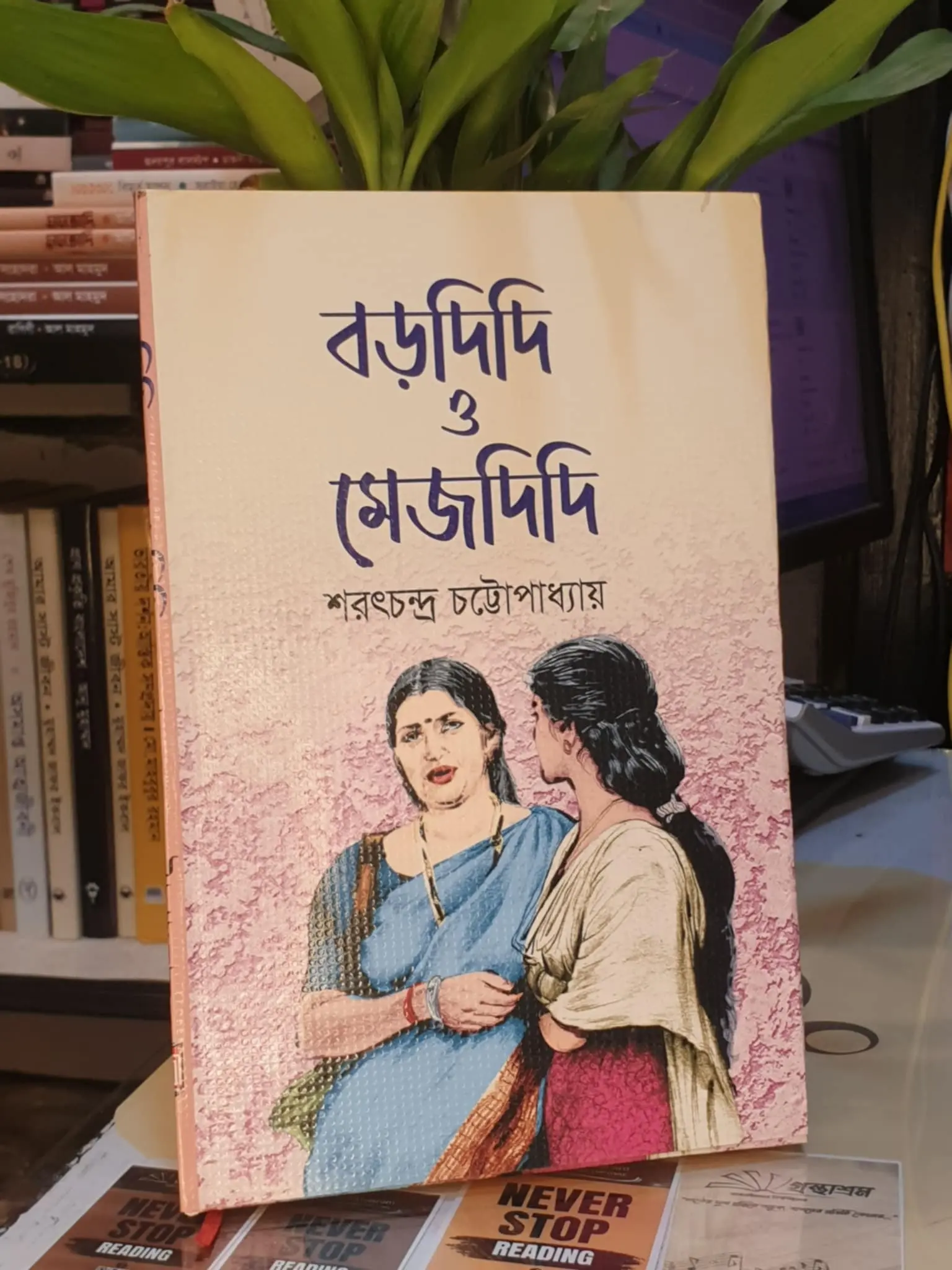 বড়দিদি ও মেজ দিদি ; শরৎচন্দ্র চট্টোপাধ্যায় | জননী 1 বড়দিদি ও মেজদিদি বইয়ের প্রচ্ছদ