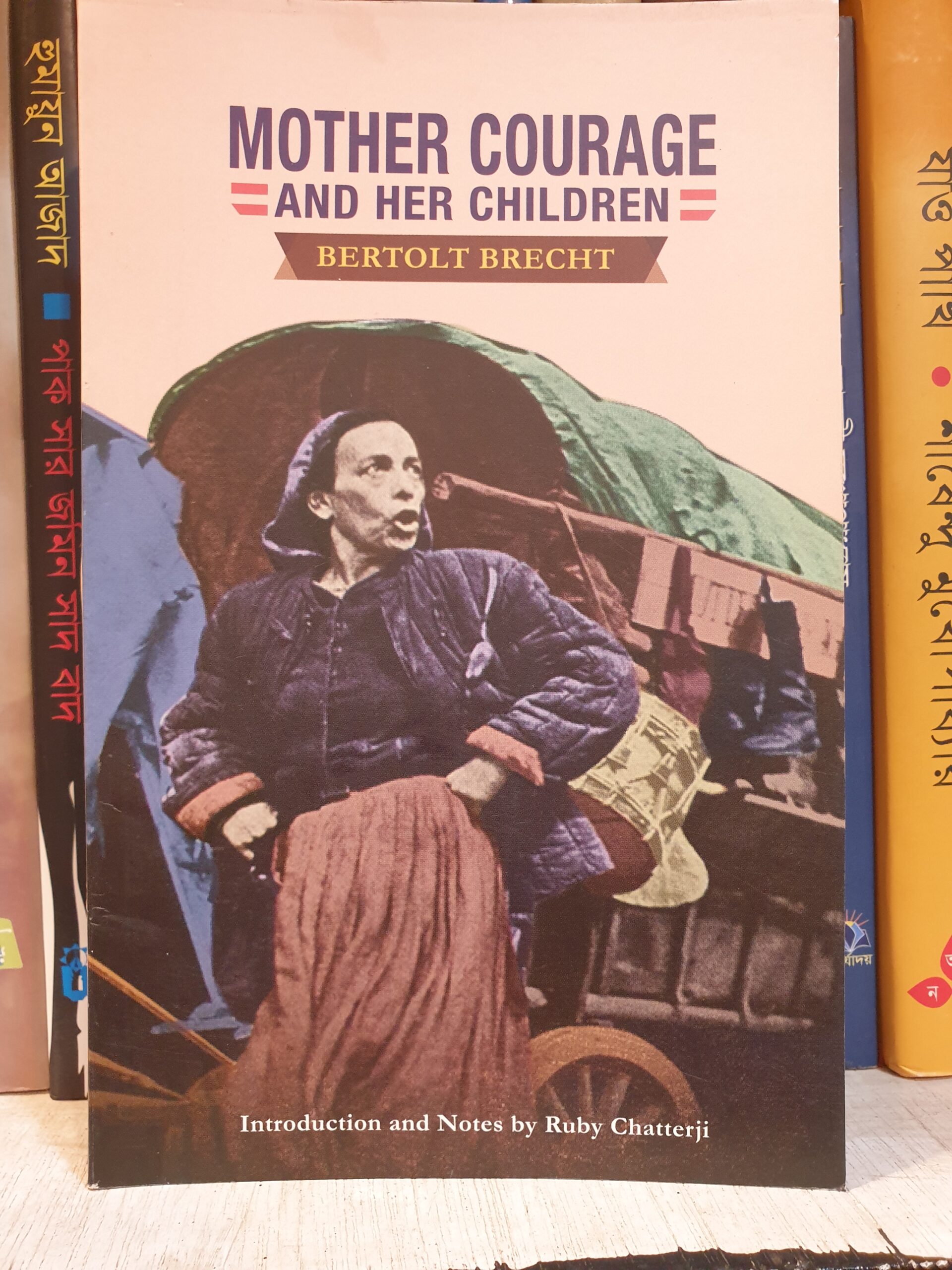 Mother Courage and Her Children Book Cover