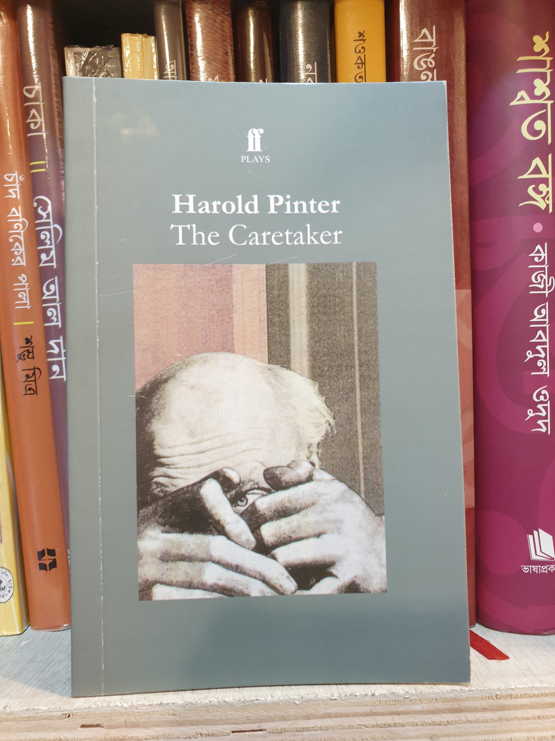 The Caretaker by Harold Pinter Book Cover