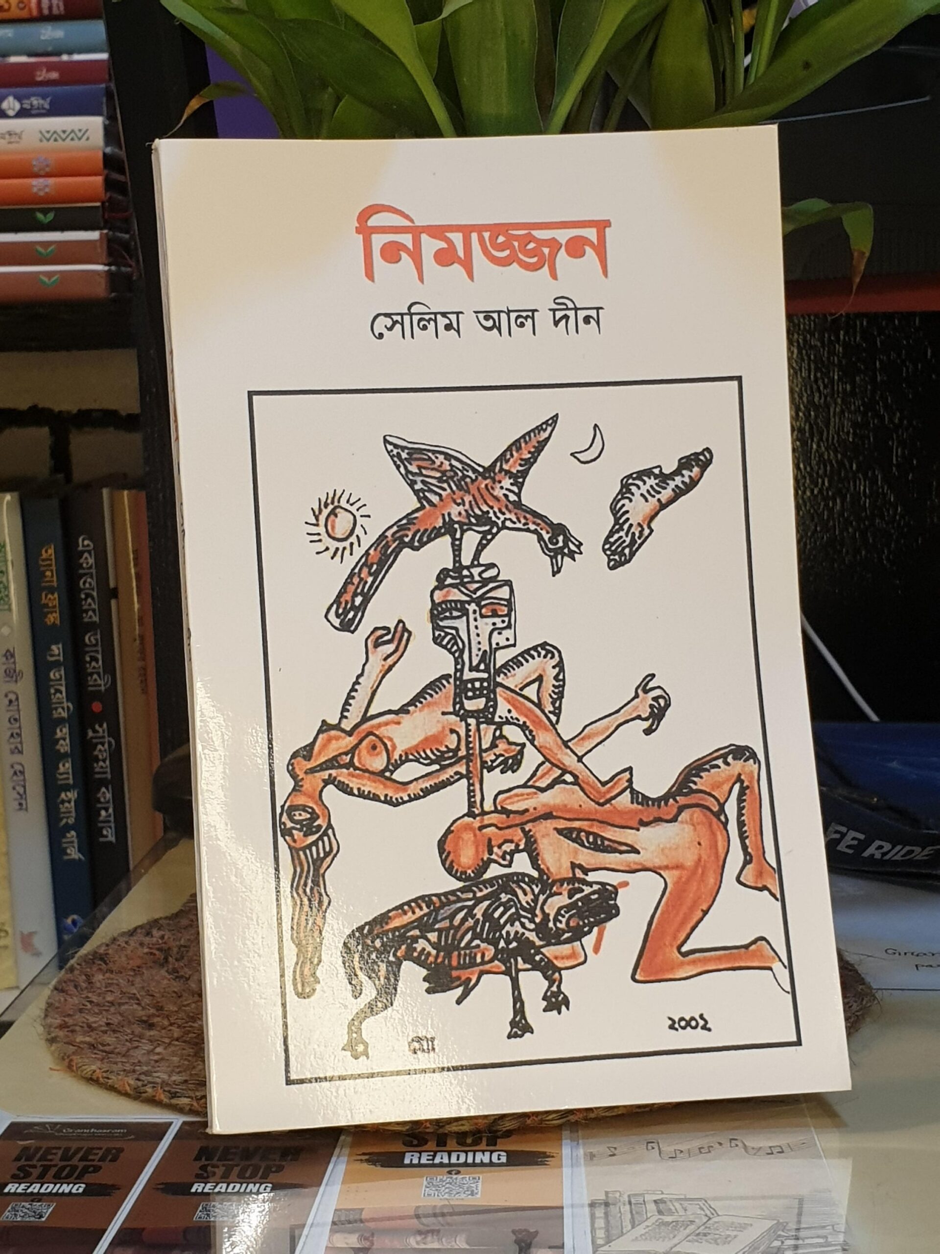নিমজ্জন বইয়ের প্রচ্ছদ