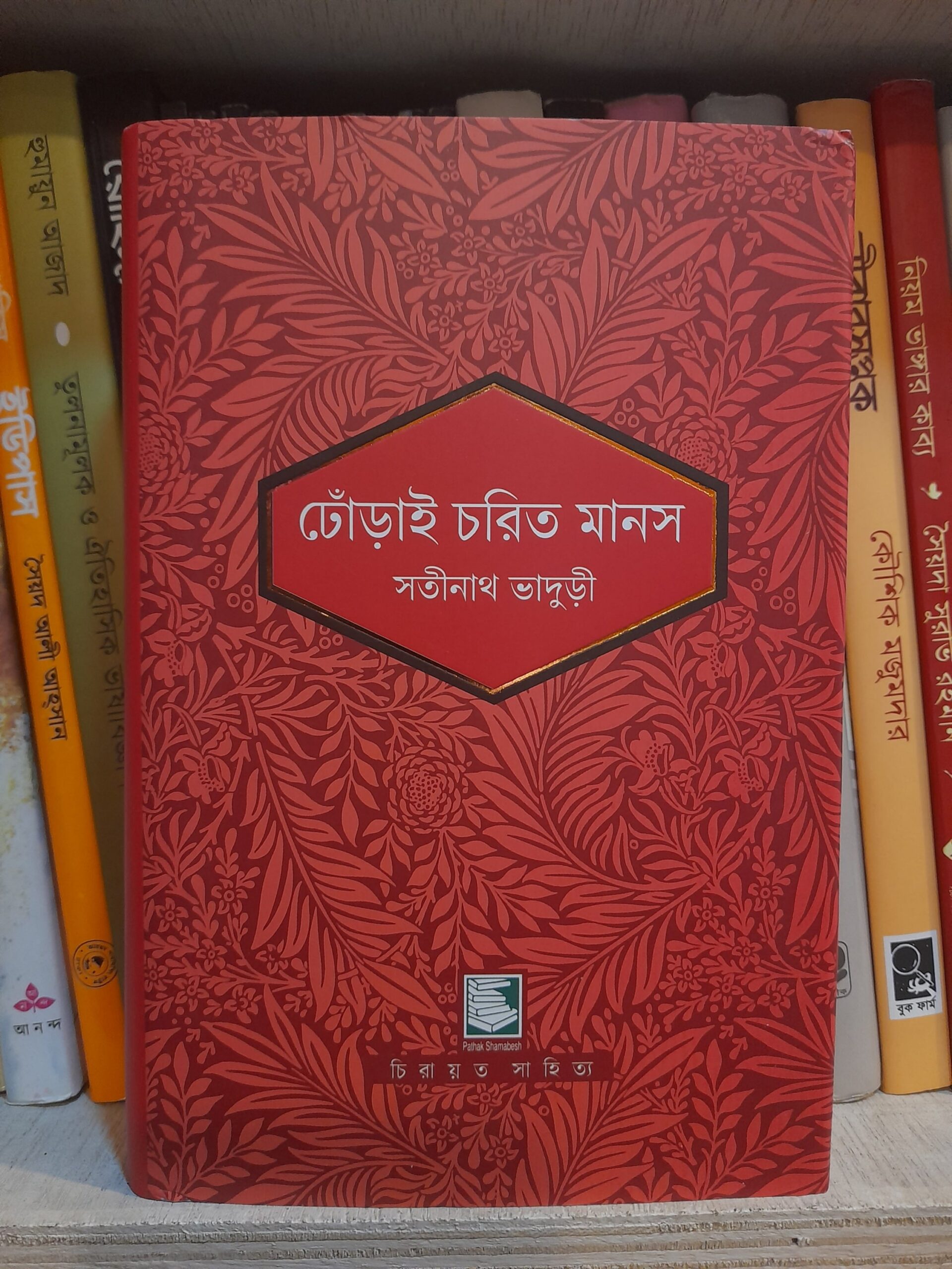 ঢোঁড়াই চরিত মানস - সতীনাথ ভাদুরী