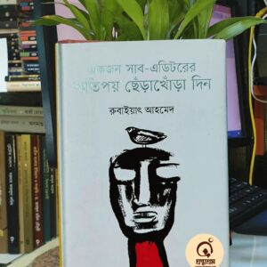 একজন সাব-এডিটরের কতিপয় ছেঁড়াখোঁড়া দিন - রুবাইয়াৎ আহমেদ | কাগজ প্রকাশন