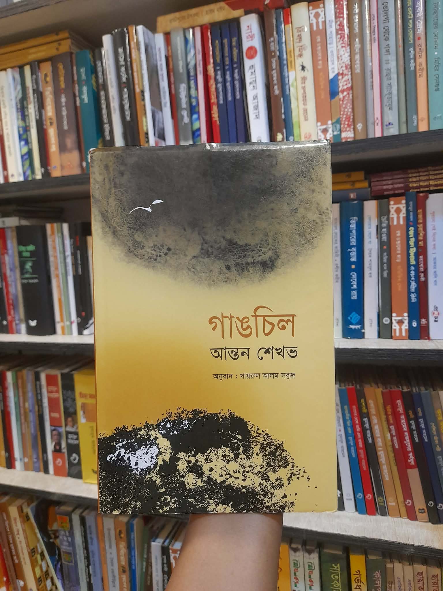 গাঙচিল - আন্তন চেখভ