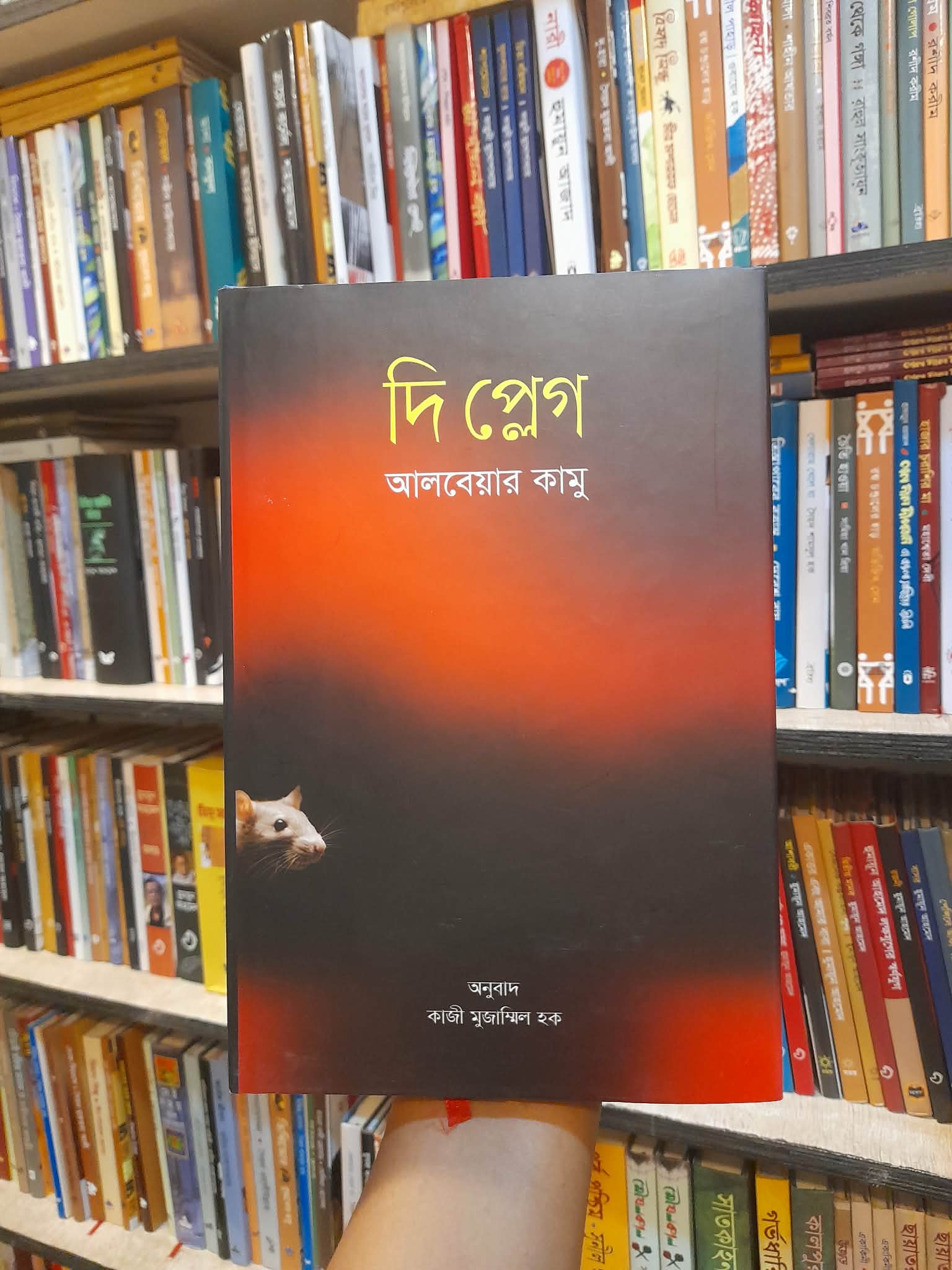 দি প্লেগ - আলবেয়ার কামু