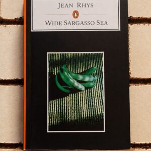 Wide Sargasso Sea Novel by Jean Rhys PB | Friends'BookCorner